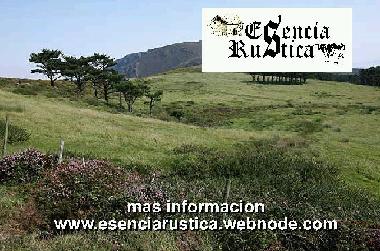 Maison de vacances �/en/au Curtis (A Coru�a)ou appartement ou maison de vacances