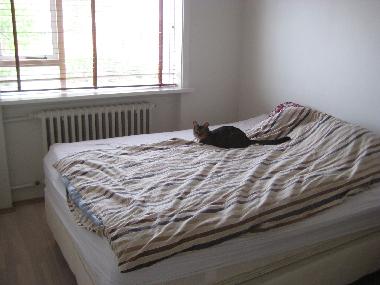 Appartement de vacances �/en/au Reykjav�k (Reykjavik)ou appartement ou maison de vacances