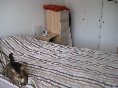 Appartement de vacances �/en/au Reykjav�k (Reykjavik)ou appartement ou maison de vacances