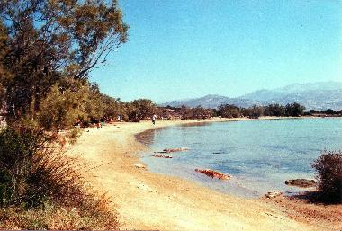 la plage de sable devant la maison