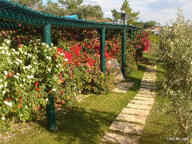 Maison de vacances /en/au  Foz do Arelho (Oeste)ou appartement ou maison de vacances