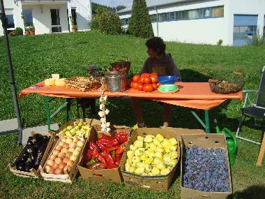 Maison de vacances �/en/au Podstrana (Splitsko-Dalmatinska)ou appartement ou maison de vacances