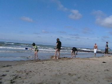 Maison de vacances �/en/au bredene (Flandre)ou appartement ou maison de vacances