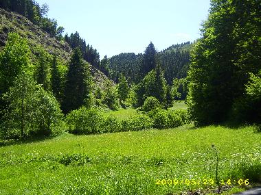 Appartement de vacances /en/au Bad Laasphe-Feudingen (Siegerland-Wittgenstein)ou appartement ou maison de vacances