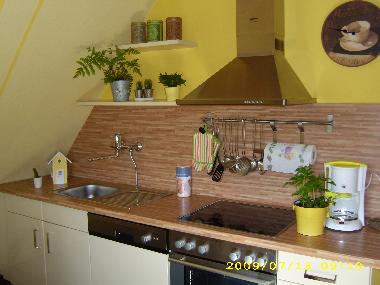 Appartement de vacances /en/au Bad Laasphe-Feudingen (Siegerland-Wittgenstein)ou appartement ou maison de vacances