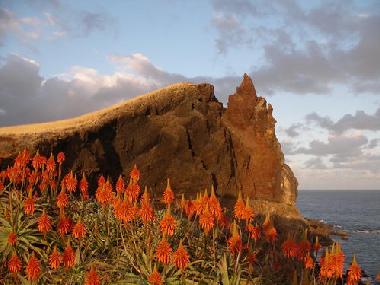 Appartement de vacances /en/au Canico de Baixo (Madeira)ou appartement ou maison de vacances