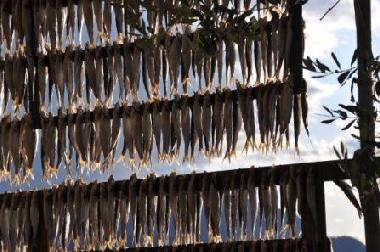 Maison de vacances /en/au MONTE ISOLA (Brescia)ou appartement ou maison de vacances