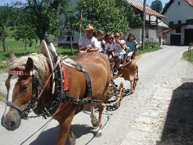 Maison de vacances �/en/au Ljubljana-Preserje (Ljubljana)ou appartement ou maison de vacances