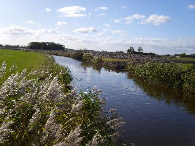 Maison de vacances �/en/au Oostmahorn (Friesland)ou appartement ou maison de vacances