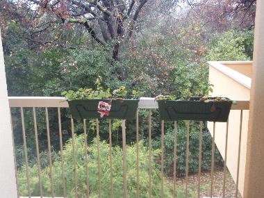 Appartement de vacances �/en/au Juan les Pins (Alpes-Maritimes)ou appartement ou maison de vacances