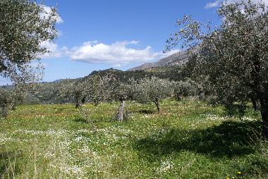 Appartement de vacances �/en/au Kritinia (Dodekanisos)ou appartement ou maison de vacances