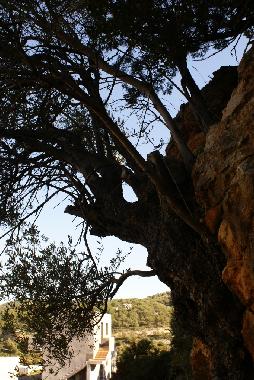 Appartement de vacances �/en/au Kritinia (Dodekanisos)ou appartement ou maison de vacances