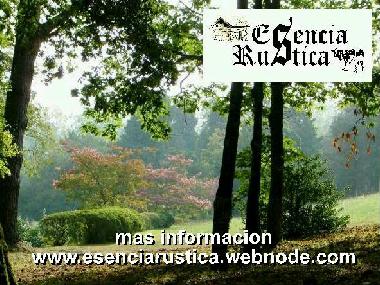 Chambre avec petit djeuner /en/au Curtis (A Corua)ou appartement ou maison de vacances