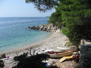 Appartement de vacances /en/au Zavala (Splitsko-Dalmatinska)ou appartement ou maison de vacances