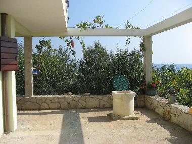 Appartement de vacances /en/au Zavala (Splitsko-Dalmatinska)ou appartement ou maison de vacances