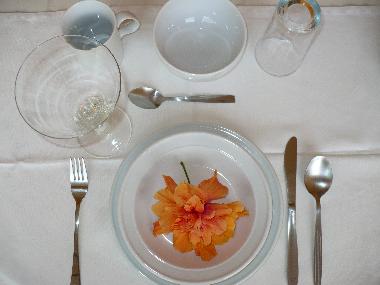 Appartement de vacances �/en/au 100.00 (Puntarenas)ou appartement ou maison de vacances