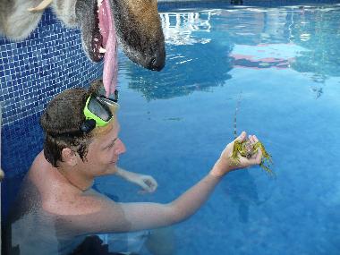 Appartement de vacances �/en/au 100.00 (Puntarenas)ou appartement ou maison de vacances