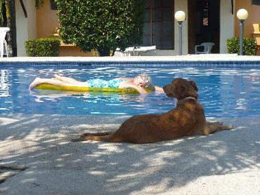 Appartement de vacances �/en/au 100.00 (Puntarenas)ou appartement ou maison de vacances