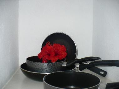 Appartement de vacances �/en/au 100.00 (Puntarenas)ou appartement ou maison de vacances