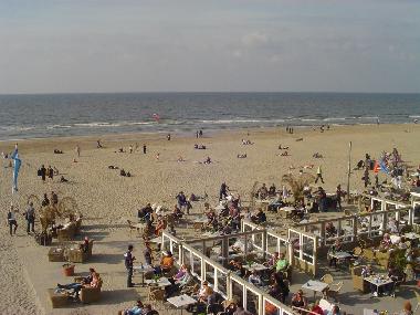 Maison de vacances /en/au Zandvoort (Noord-Holland)ou appartement ou maison de vacances