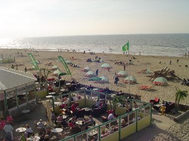 Maison de vacances /en/au Zandvoort (Noord-Holland)ou appartement ou maison de vacances
