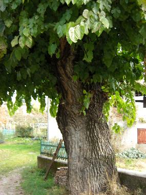 Maison de vacances �/en/au Terres (Trento)ou appartement ou maison de vacances