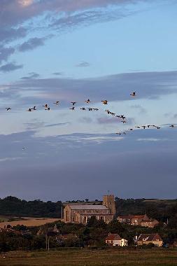 Maison de vacances �/en/au Hindolveston (East Anglia)ou appartement ou maison de vacances