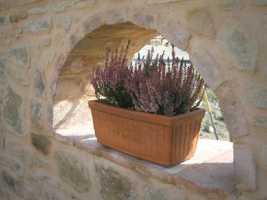 Maison de vacances �/en/au Parma (Parma)ou appartement ou maison de vacances