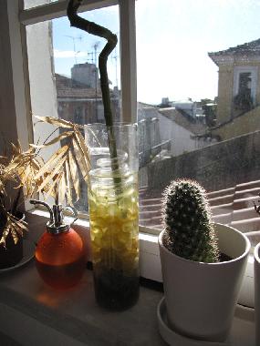 Appartement de vacances �/en/au Lisbon (Grande Lisboa)ou appartement ou maison de vacances