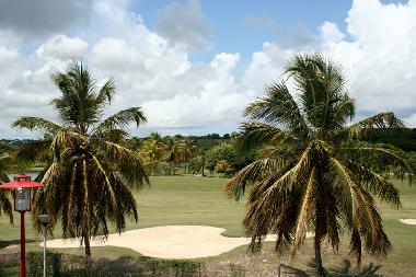 Maison de vacances �/en/au Saint Fran�ois (Guadeloupe)ou appartement ou maison de vacances