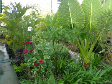 Maison de vacances /en/au Nongbualumphu (Nong Bua Lamphu)ou appartement ou maison de vacances