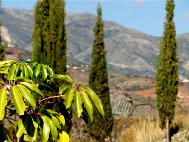 Appartement de vacances �/en/au Almu�ecar (Granada)ou appartement ou maison de vacances