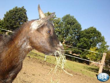 Chambre avec petit djeuner /en/au dury (Aisne)ou appartement ou maison de vacances