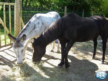 Chambre avec petit djeuner /en/au dury (Aisne)ou appartement ou maison de vacances