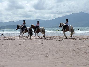 Maison de vacances �/en/au Castlegregory (Kerry)ou appartement ou maison de vacances