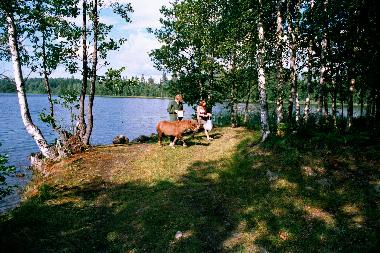 Maison de vacances �/en/au svanskoog (V�rmland)ou appartement ou maison de vacances