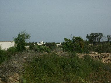 Maison de vacances �/en/au sidi kaouki (Essaouira)ou appartement ou maison de vacances