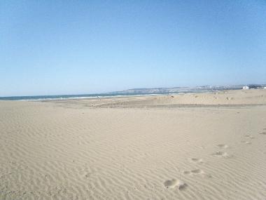 Maison de vacances �/en/au sidi kaouki (Essaouira)ou appartement ou maison de vacances