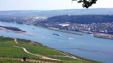 Maison de vacances �/en/au R�desheim -Stephanshausen (Rheingau-Taunus / Wiesbaden)ou appartement ou maison de vacances