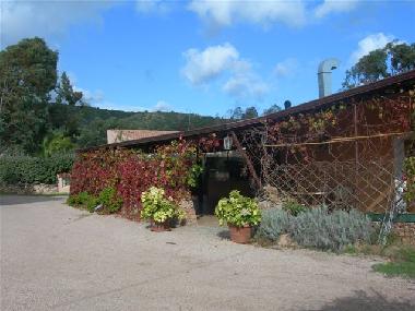 Appartement de vacances /en/au Budoni (Nuoro)ou appartement ou maison de vacances