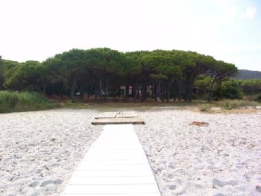Appartement de vacances /en/au Budoni (Nuoro)ou appartement ou maison de vacances