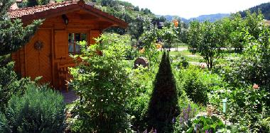 Appartement de vacances �/en/au Seebach (Schwarzwald)ou appartement ou maison de vacances