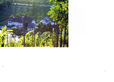 Appartement de vacances �/en/au Piesport (Mosel - Saar)ou appartement ou maison de vacances