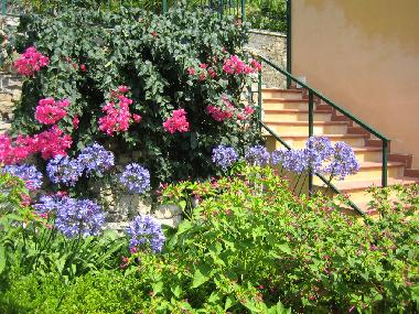 Maison de vacances /en/au Cantalupo, Imperia/Porto Maurizio (Imperia)ou appartement ou maison de vacances