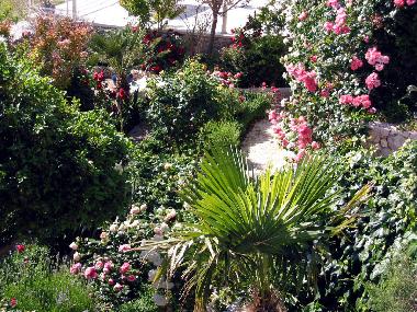 Appartement de vacances /en/au Drasnice (Splitsko-Dalmatinska)ou appartement ou maison de vacances