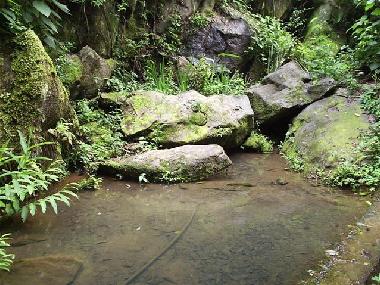 Maison de vacances �/en/au Rio de Janeiro (Rio de Janeiro)ou appartement ou maison de vacances