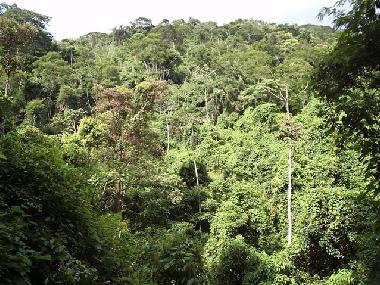 Maison de vacances �/en/au Rio de Janeiro (Rio de Janeiro)ou appartement ou maison de vacances