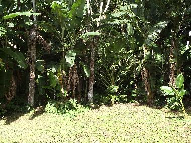 Maison de vacances �/en/au Rio de Janeiro (Rio de Janeiro)ou appartement ou maison de vacances