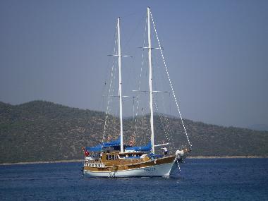 Appartement de vacances �/en/au Tuzla (Mugla)ou appartement ou maison de vacances