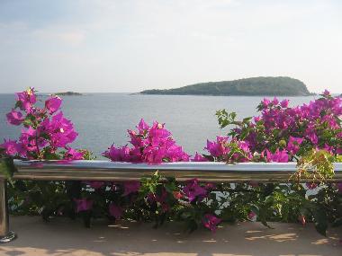 Maison de vacances �/en/au Molunat near Dubrovnik (Dubrovacko-Neretvanska)ou appartement ou maison de vacances